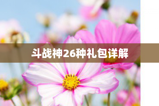 斗战神26种礼包详解图片