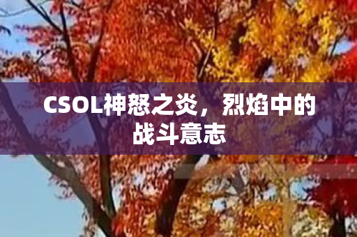 CSOL神怒之炎图片