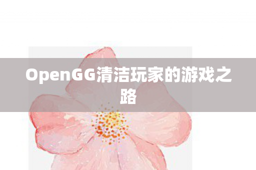 OpenGG清洁玩家的游戏之路图片