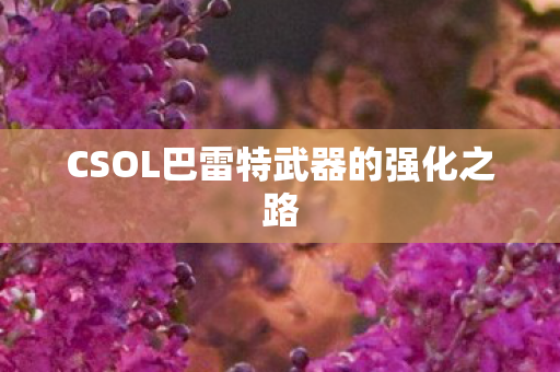 CSOL巴雷特武器的强化之路图片