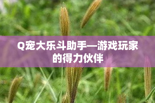 游戏玩家的得力伙伴图片