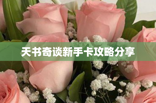 天书奇谈新手卡攻略分享图片