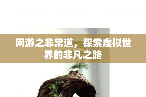 探索虚拟世界的非凡之路图片