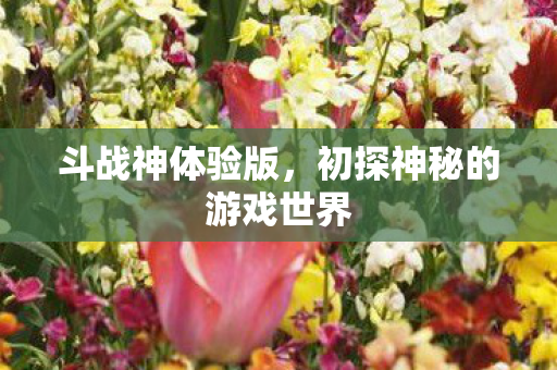 初探神秘的游戏世界图片