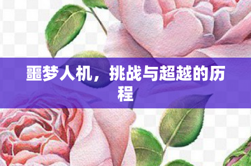 挑战与超越的历程图片