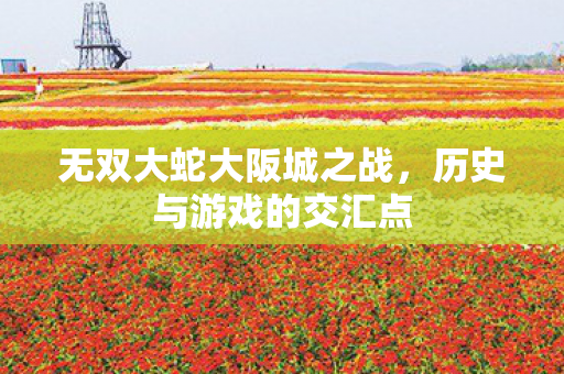 无双大蛇大阪城之战图片