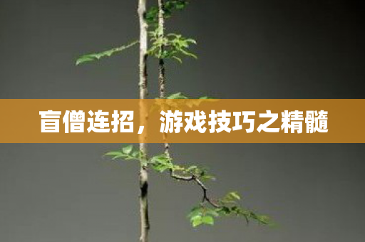 游戏技巧之精髓图片