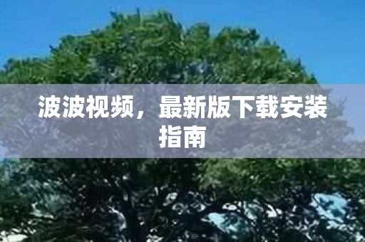 最新版下载安装指南图片