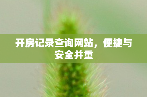 开房记录查询网站图片