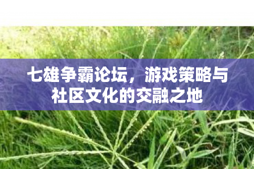 游戏策略与社区文化的交融之地图片