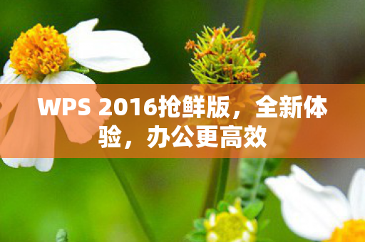 WPS 2016抢鲜版图片