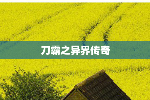 刀霸之异界传奇图片
