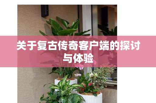 关于复古传奇客户端的探讨与体验图片