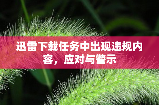 迅雷下载任务中出现违规内容图片