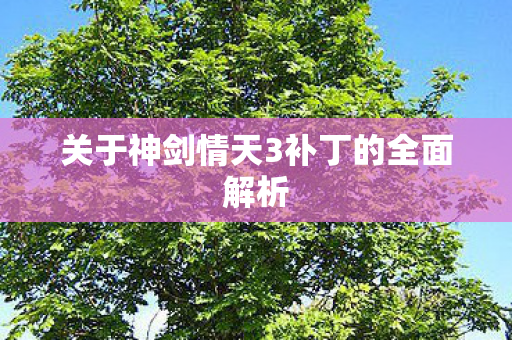 关于神剑情天3补丁的全面解析图片