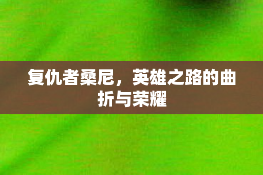 英雄之路的曲折与荣耀图片