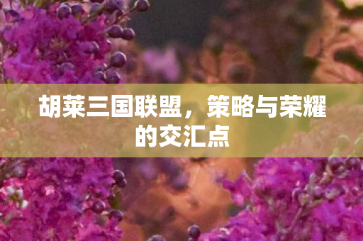 策略与荣耀的交汇点图片