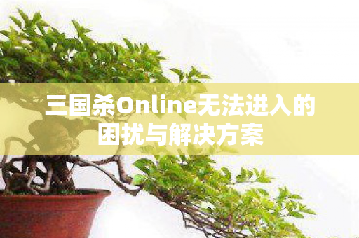 三国杀Online无法进入的困扰与解决方案图片