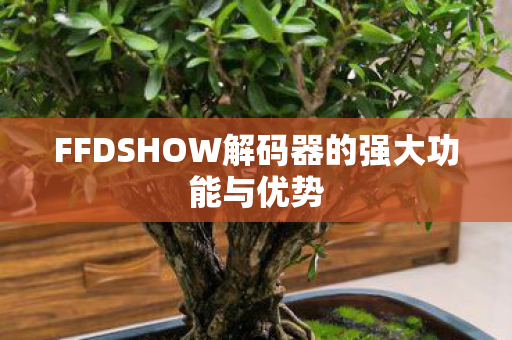 FFDSHOW解码器的强大功能与优势图片