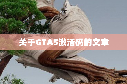 关于GTA5激活码的文章图片
