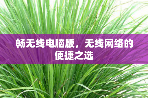 无线网络的便捷之选图片