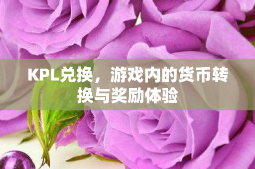 游戏内的货币转换与奖励体验图片