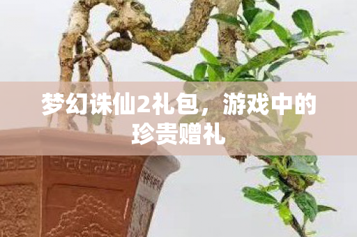 游戏中的珍贵赠礼图片