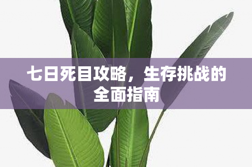 生存挑战的全面指南图片
