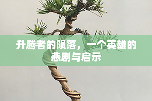 一个英雄的悲剧与启示图片