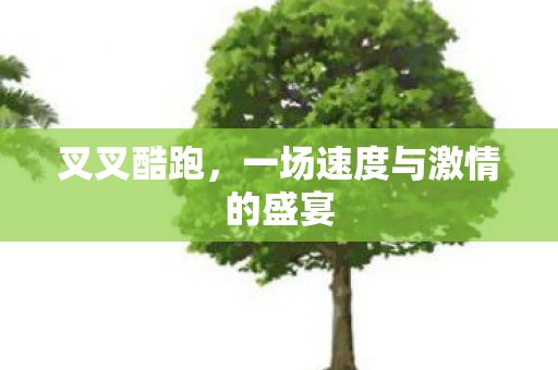 一场速度与激情的盛宴图片