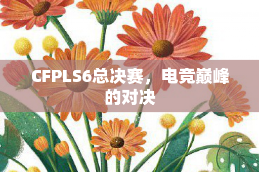 CFPLS6总决赛图片