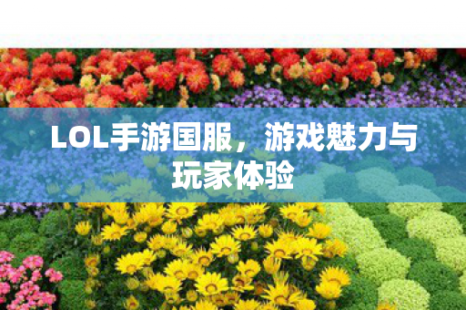 游戏魅力与玩家体验图片