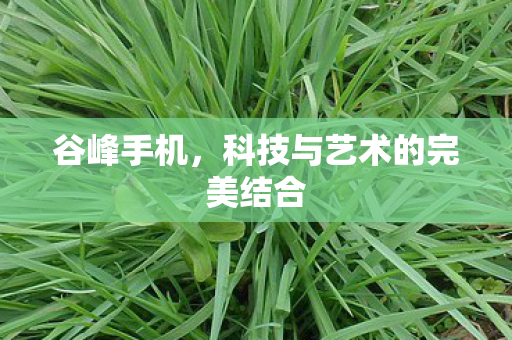 科技与艺术的完美结合图片