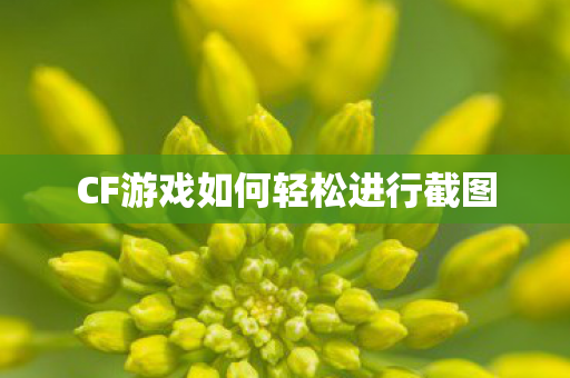 CF游戏如何轻松进行截图图片