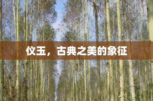 古典之美的象征图片