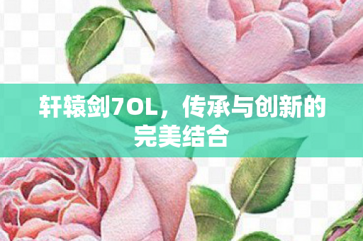 传承与创新的完美结合图片