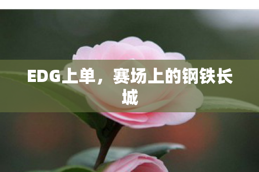 赛场上的钢铁长城图片