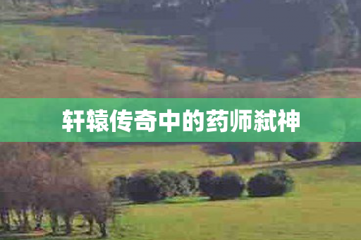 轩辕传奇中的药师弑神图片