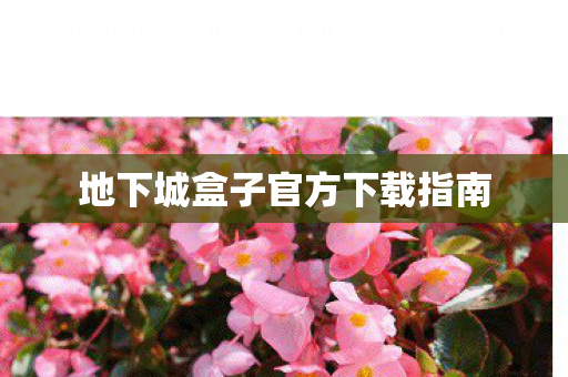 地下城盒子官方下载指南图片