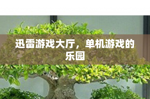 单机游戏的乐园图片