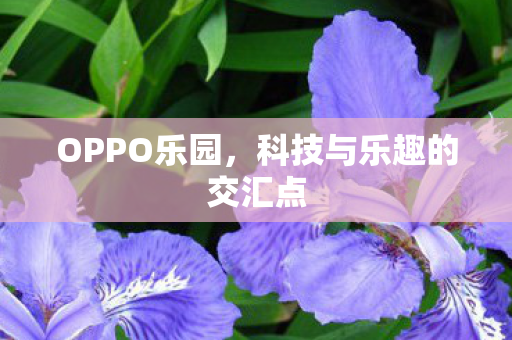 科技与乐趣的交汇点图片