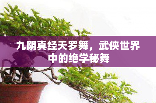 武侠世界中的绝学秘舞图片