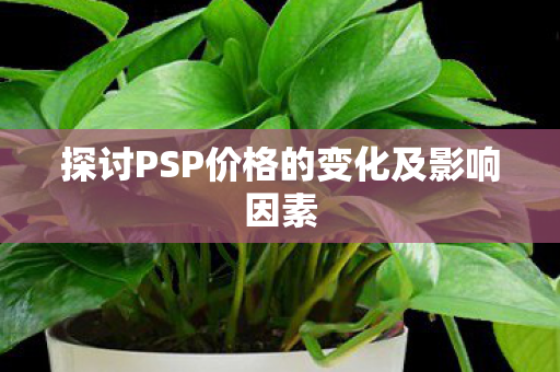 探讨PSP价格的变化及影响因素图片