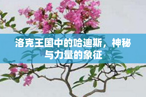 洛克王国中的哈迪斯图片