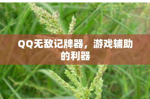 QQ无敌记牌器图片