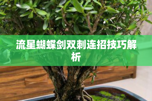 流星蝴蝶剑双刺连招技巧解析图片