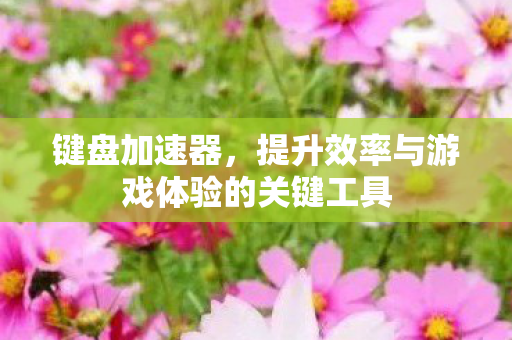提升效率与游戏体验的关键工具图片