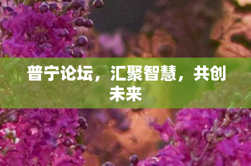 普宁论坛图片