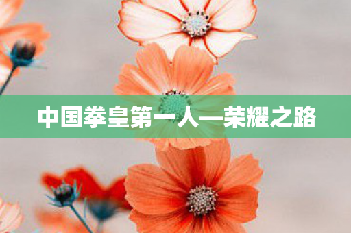 中国拳皇第一人图片