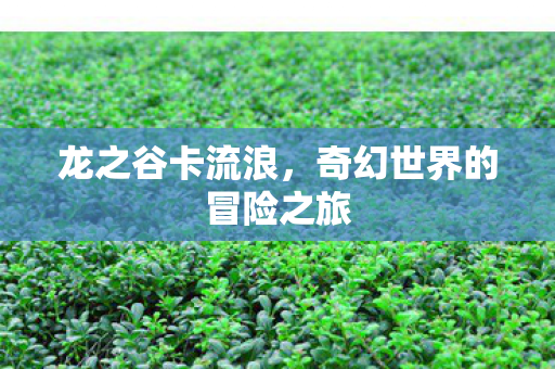 奇幻世界的冒险之旅图片
